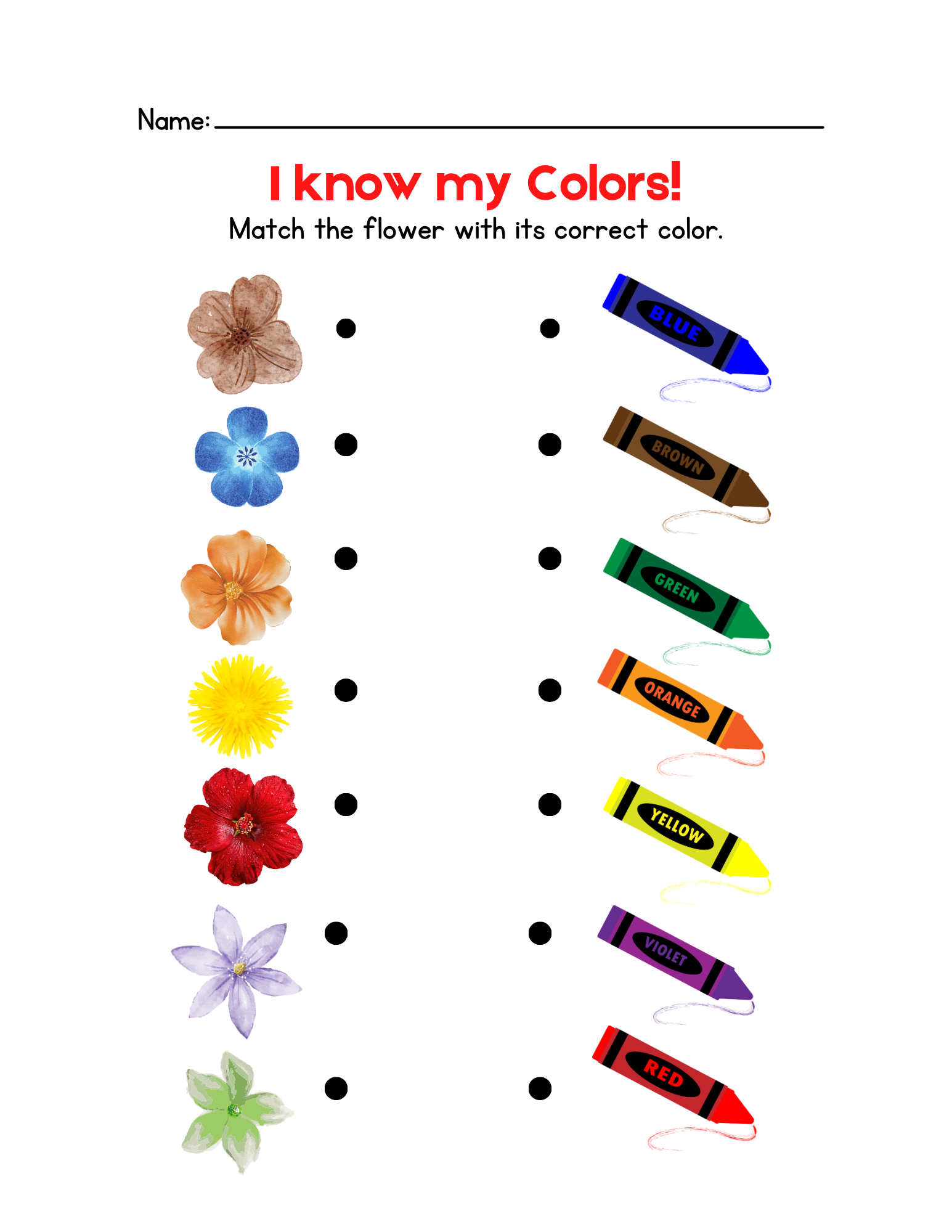 Match the Flower to Color
