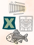 Toddler Journal: Letter X Worksheet